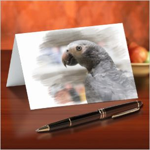 Parrot Note Cards
