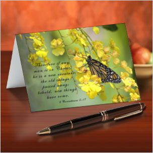 Note Cards