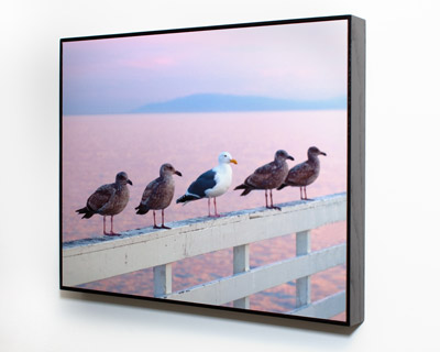 Framed Art