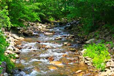 Summer Creek