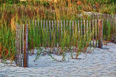 Fence at the Beach