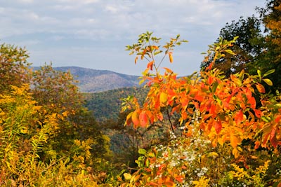 Autumn Mountains