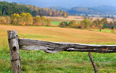Fence Post