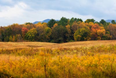 Cades Cove in Autumn